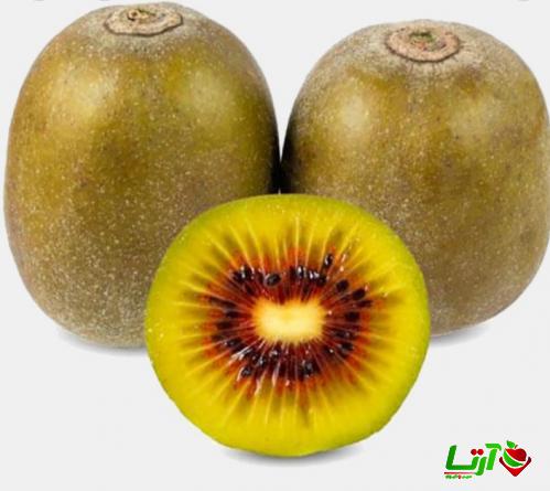 بررسی پارامترهای تعیین کیفیت کیوی