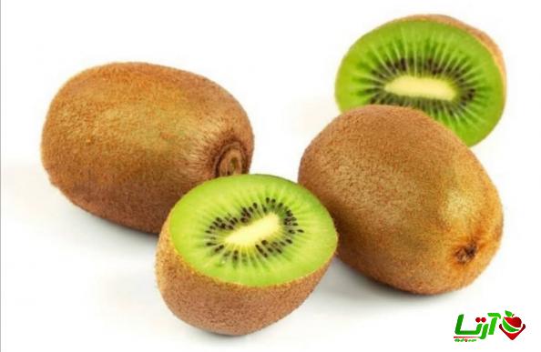 همه چیز در مورد نحوه صادرات کیوی