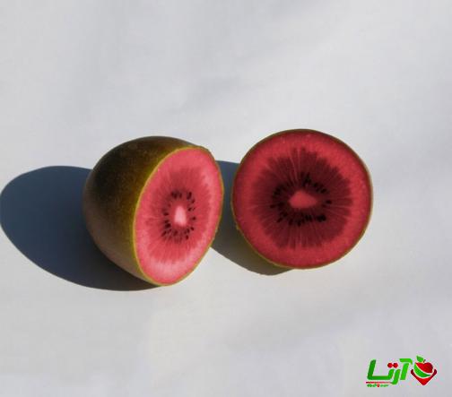 نکات کلیدی در هنگام خرید کیوی