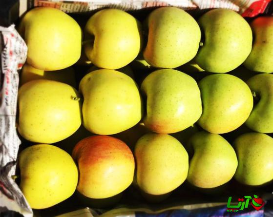 اطلاعاتی مفید درباره سیب زاپنی