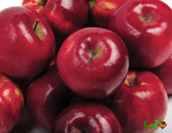ویژگی بارز سیب قرمز مجلسی