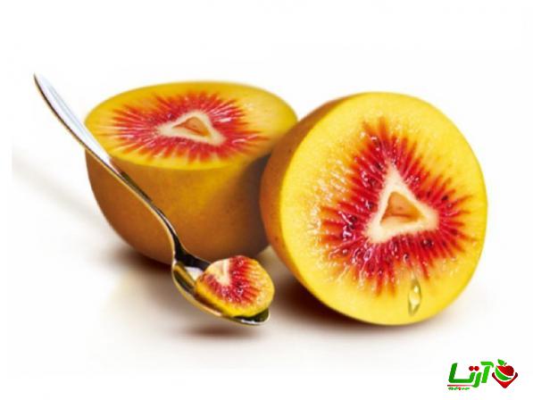 عرضه مستقیم کیوی قرمز با بهترین کیفیت در چالوس