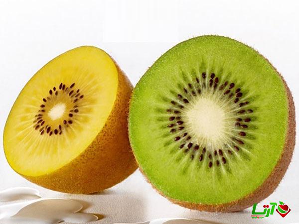 خرید کلی کیوی هایوارد صادراتی