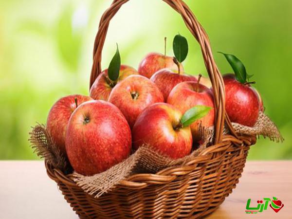 تامین کنندگان سیب ممتاز صادراتی سمیرم