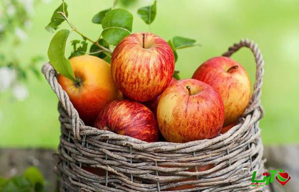 خرید و فروش سیب ممتاز در سمیرم