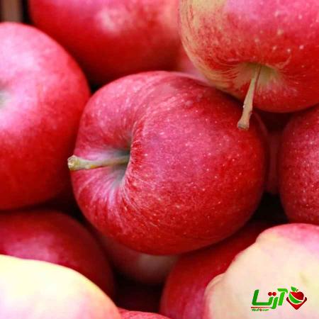معرفی سیب قرمز گالا + بهترین قیمت خرید