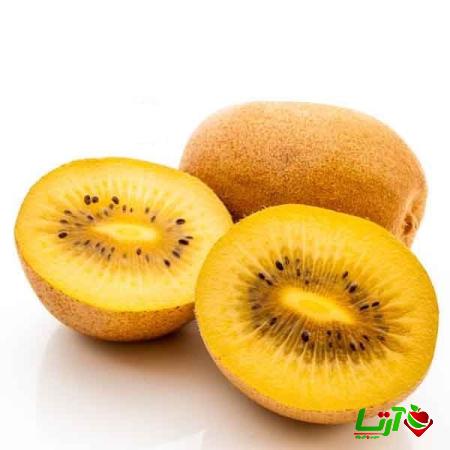 فروش کیوی طلایی صادراتی