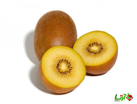 فروشگاه عرضه کیوی طلایی صادراتی