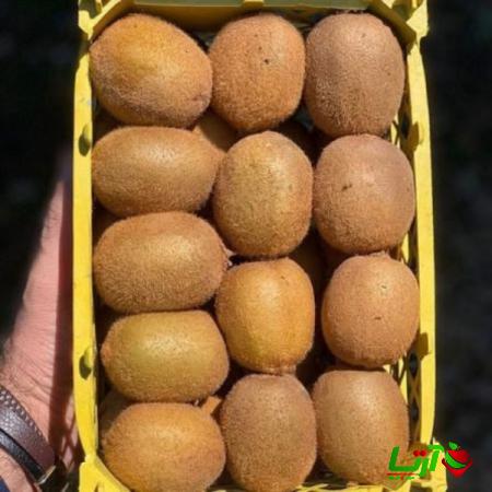 قیمت کیوی مرغوب درجه 1
