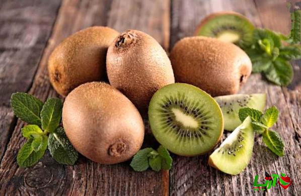شناخت خصوصیات کیوی قهوه ای درجه یک