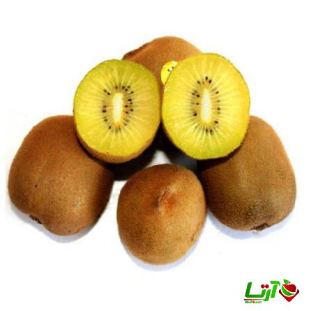 عرضه کنندگان کیوی طلایی تالش