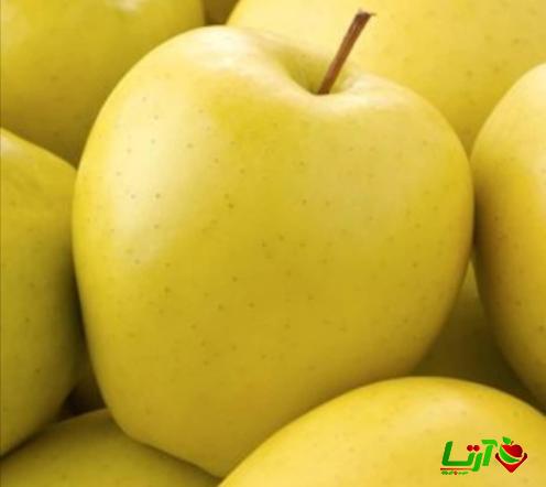 مراکز فروش سیب فله بدون واسطه