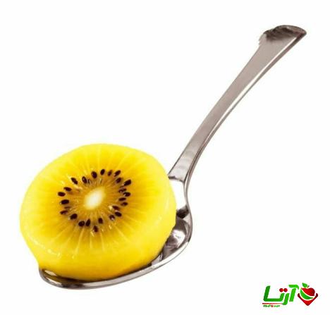 بازار خرید کیوی طلایی صادراتی
