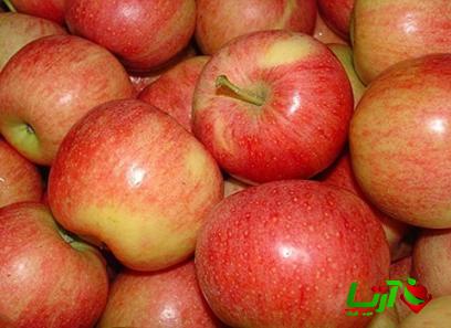 خرید و قیمت انواع سیب قرمز ارومیه